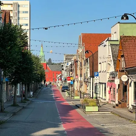 Urban Treehouse In Centre