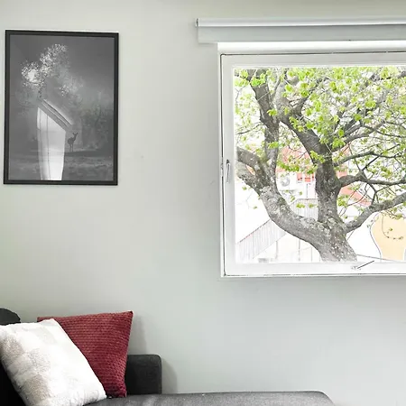 דירה Urban Treehouse In Centre