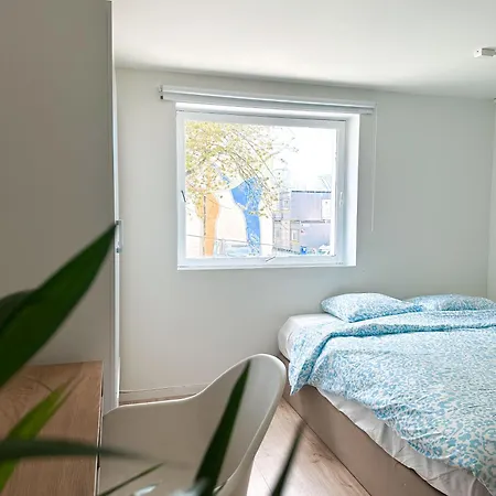 Urban Treehouse In Centre *